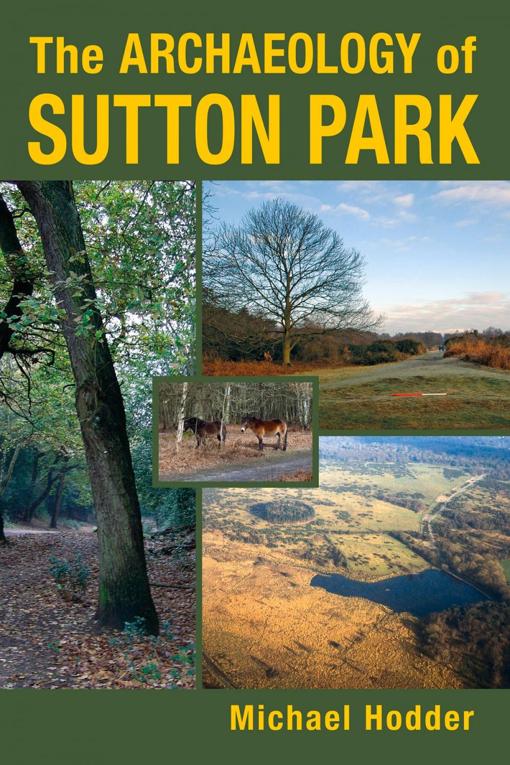 Big bigCover of Archaeology of Sutton Park