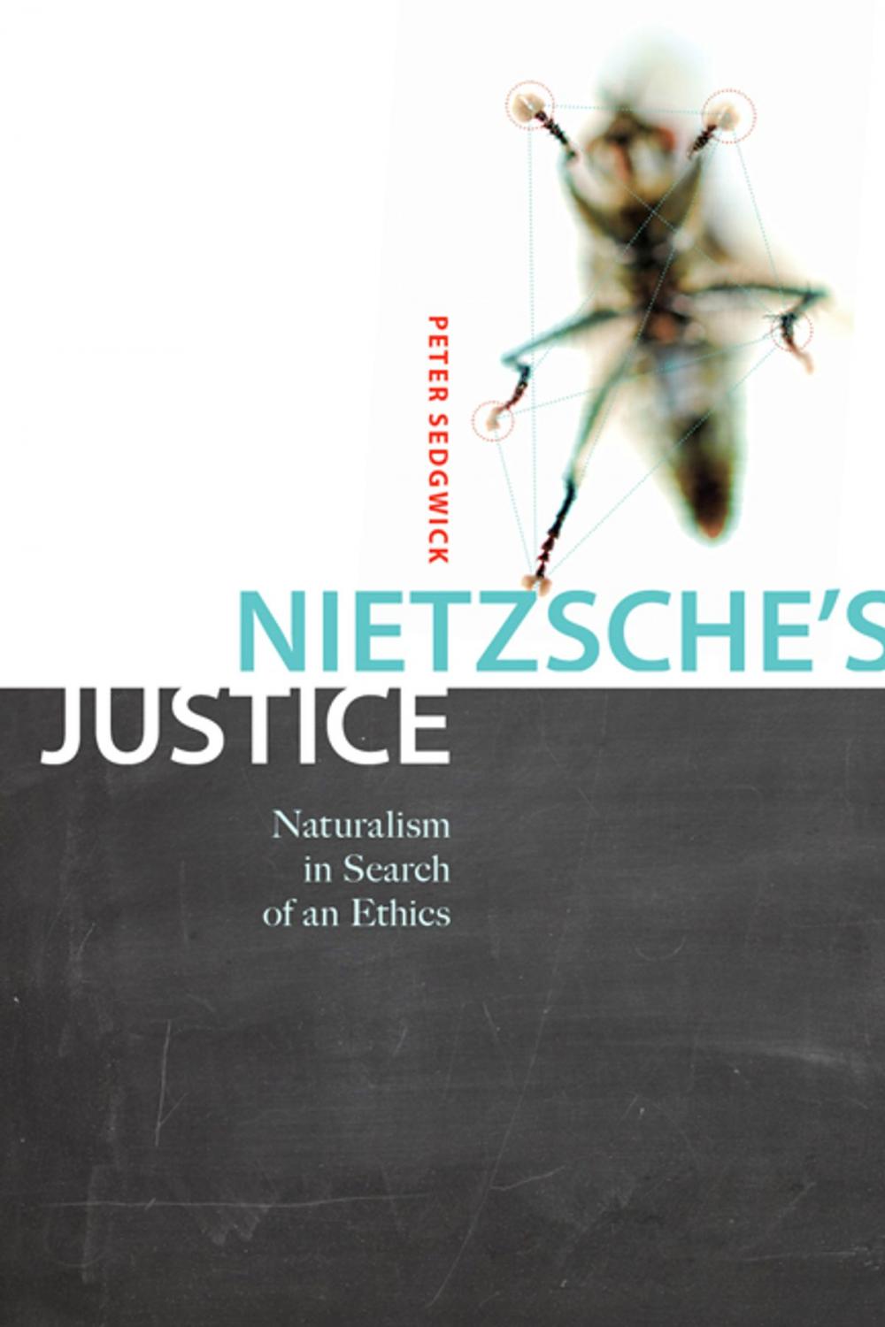 Big bigCover of Nietzsche's Justice