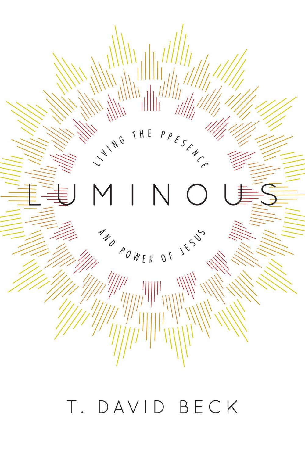 Big bigCover of Luminous