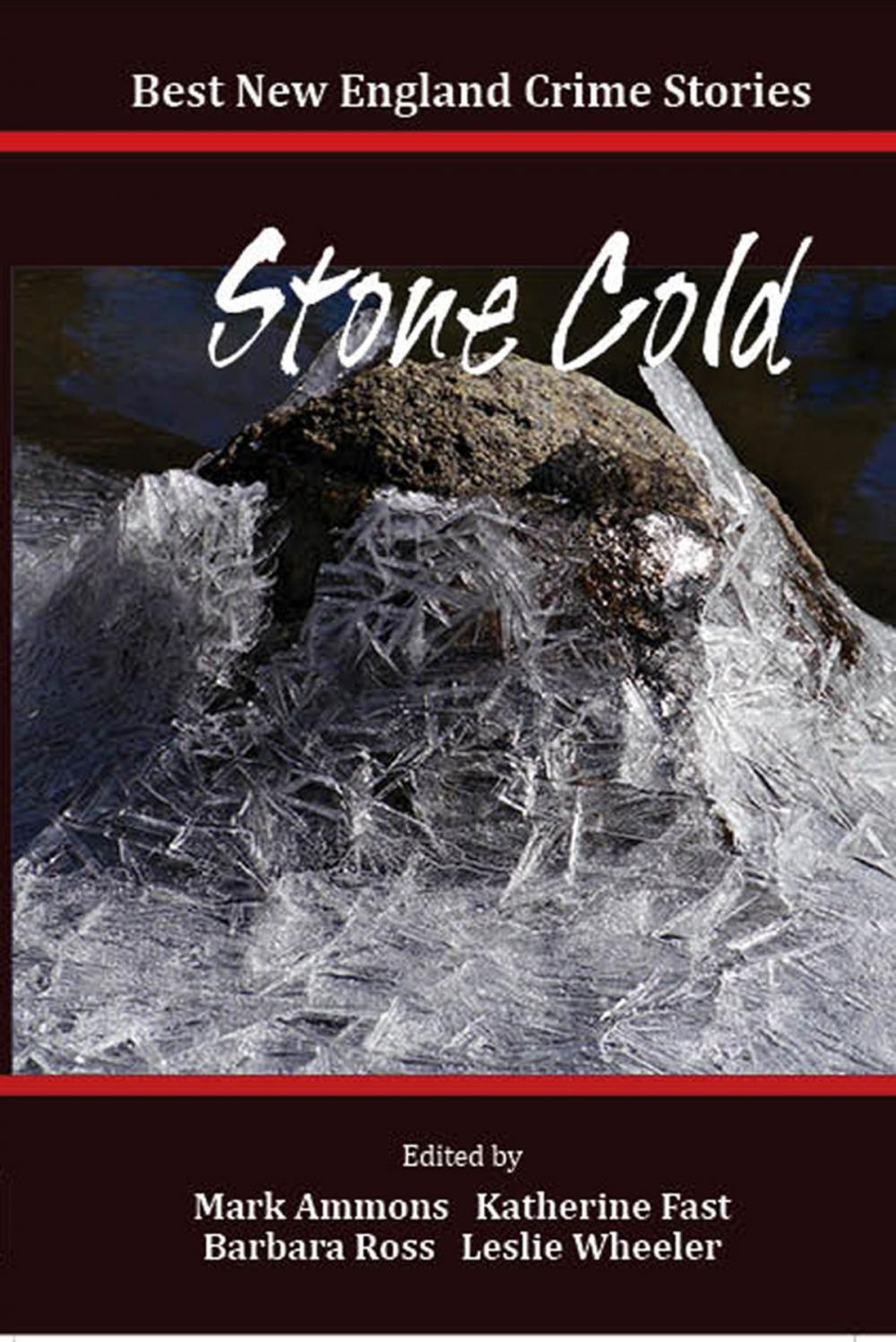 Big bigCover of Best New England Crime Stories 2014: Stone Cold