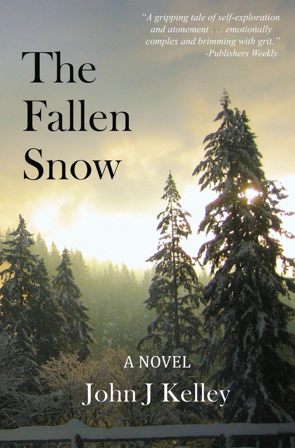 Big bigCover of The Fallen Snow