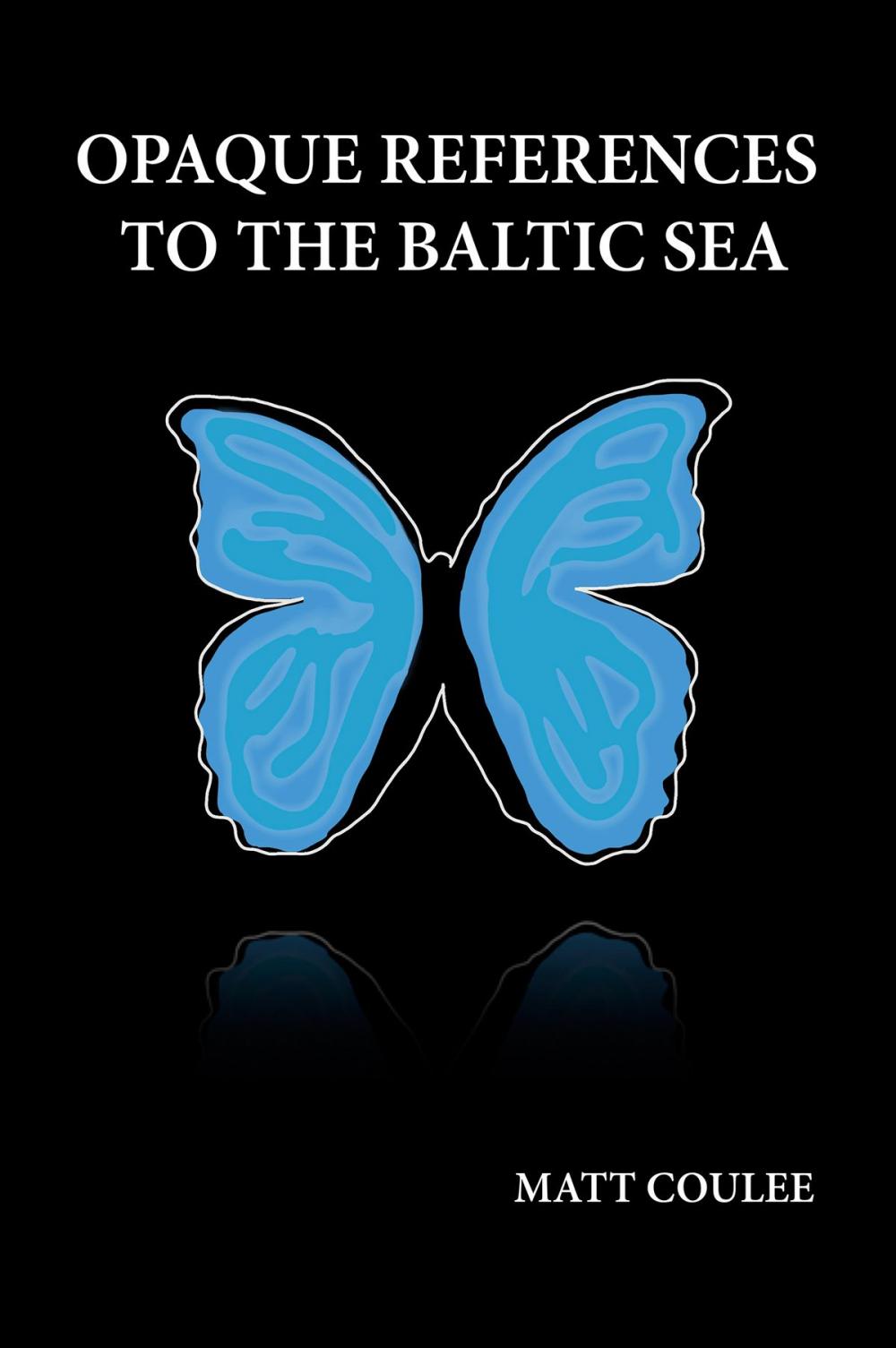 Big bigCover of Opaque References to the Baltic Sea