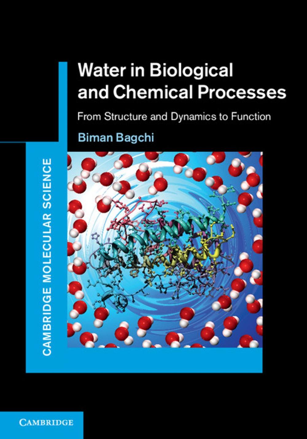 Big bigCover of Water in Biological and Chemical Processes