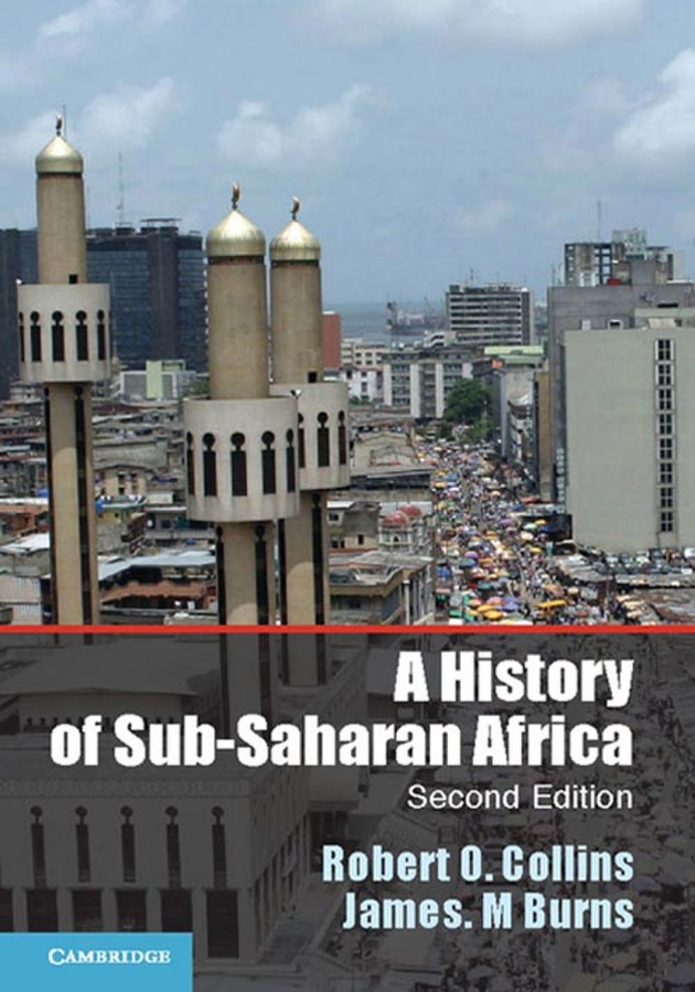 Big bigCover of A History of Sub-Saharan Africa