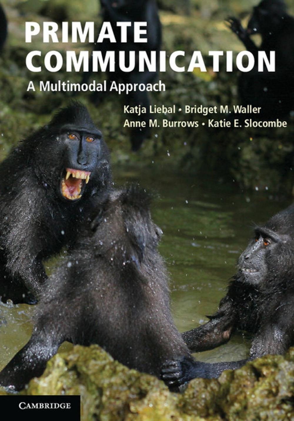 Big bigCover of Primate Communication