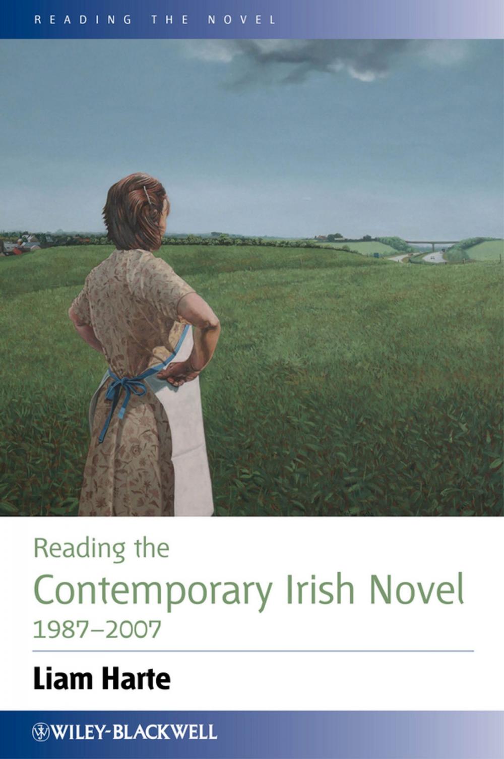 Big bigCover of Reading the Contemporary Irish Novel 1987 - 2007