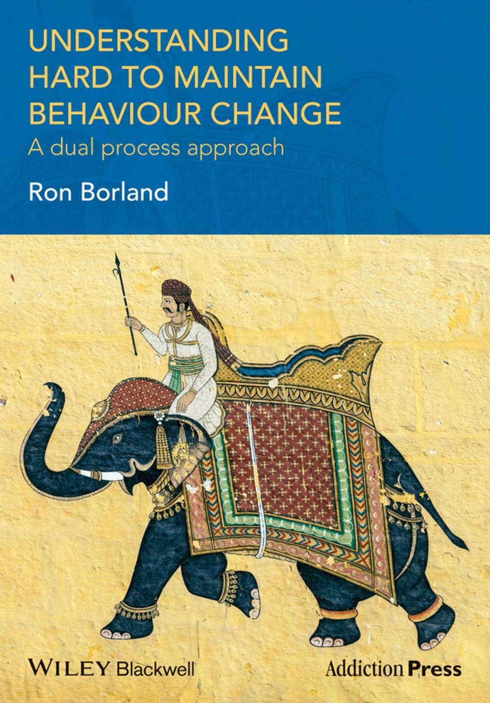 Big bigCover of Understanding Hard to Maintain Behaviour Change