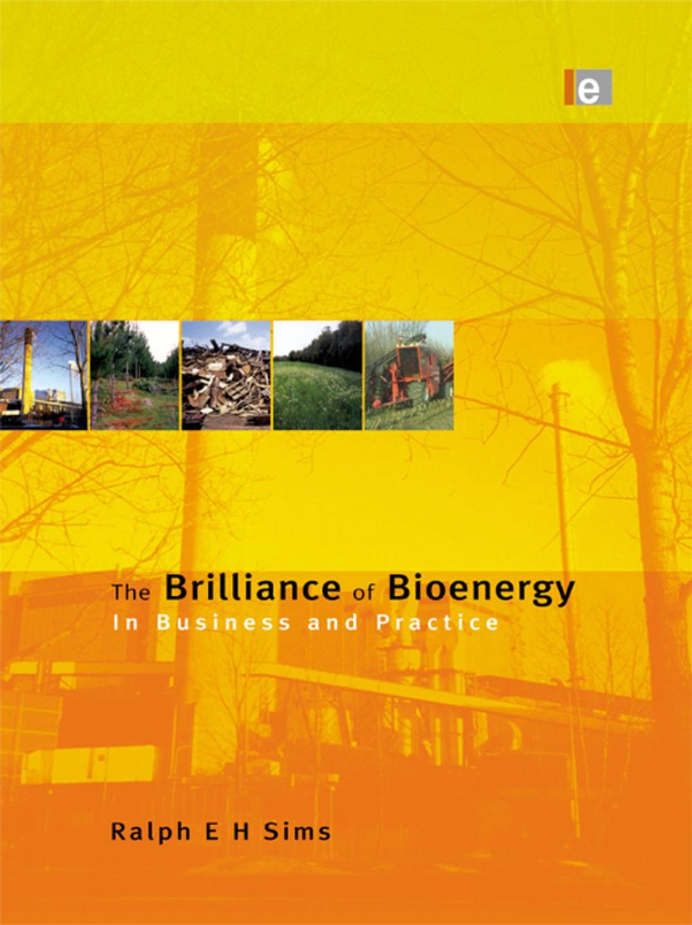 Big bigCover of The Brilliance of Bioenergy