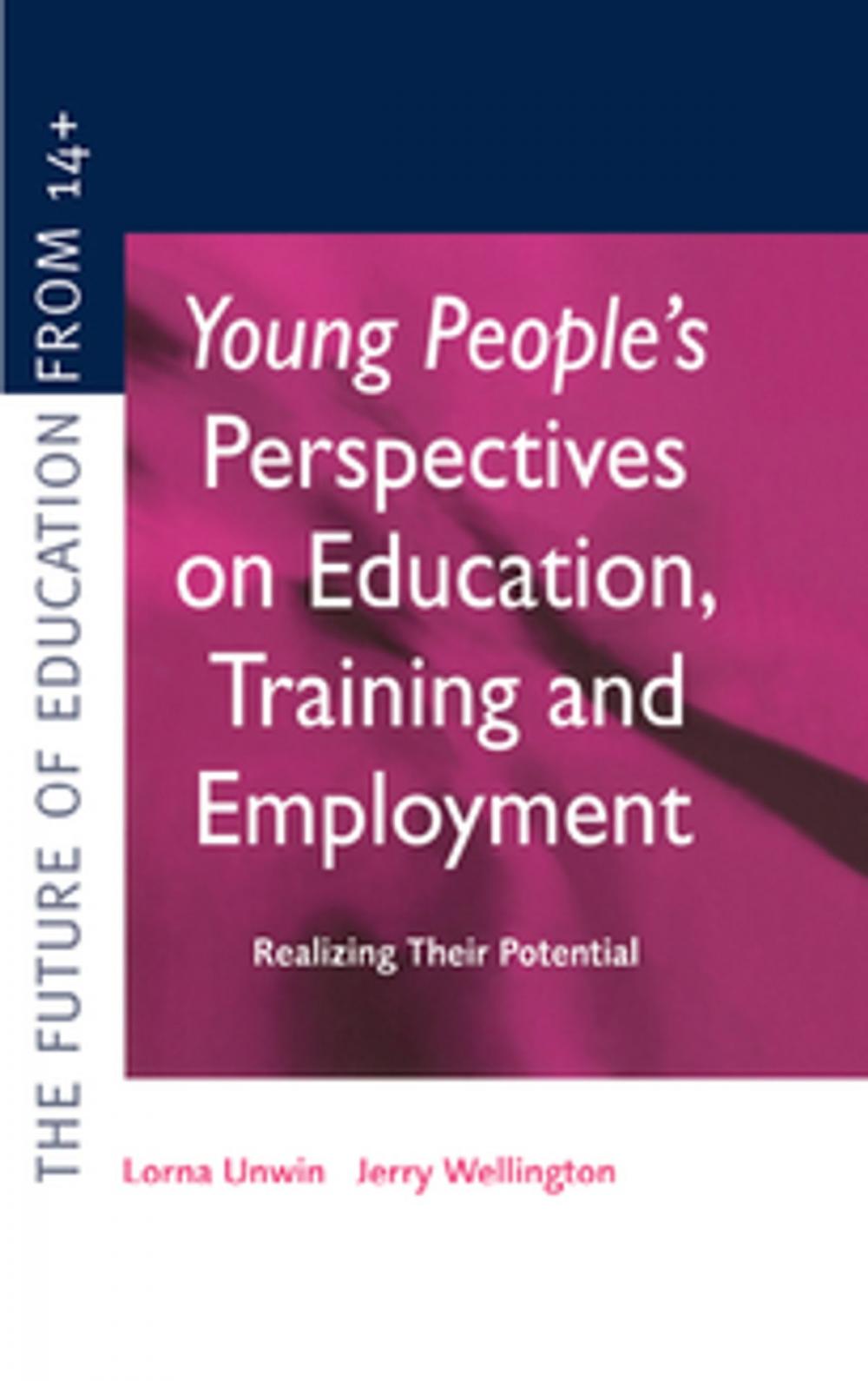 Big bigCover of Young People's Perspectives on Education, Training and Employment