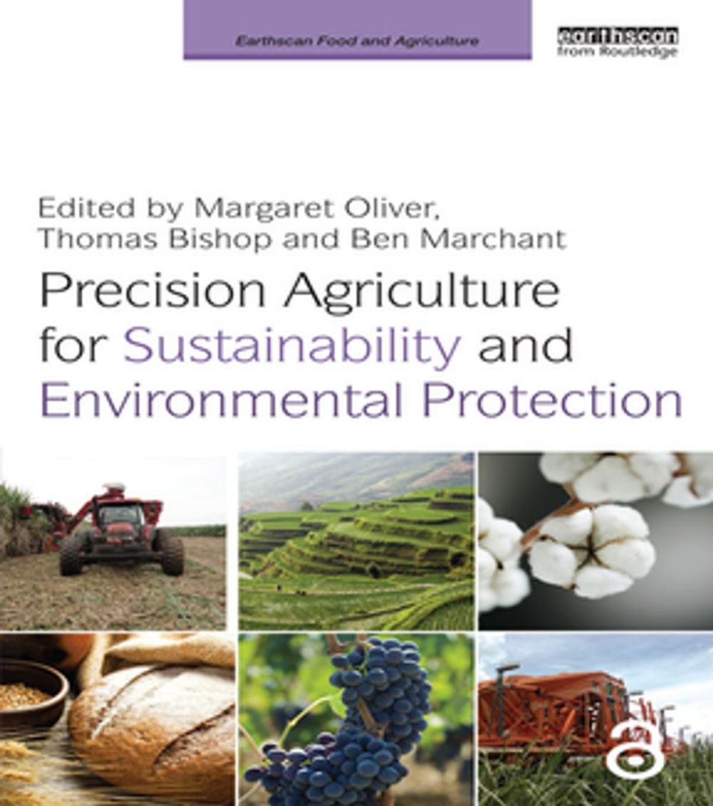 Big bigCover of Precision Agriculture for Sustainability and Environmental Protection