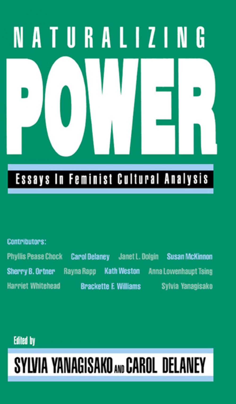 Big bigCover of Naturalizing Power