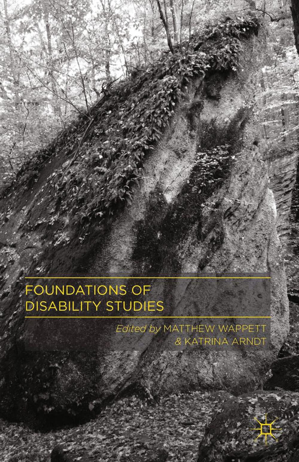 Big bigCover of Foundations of Disability Studies