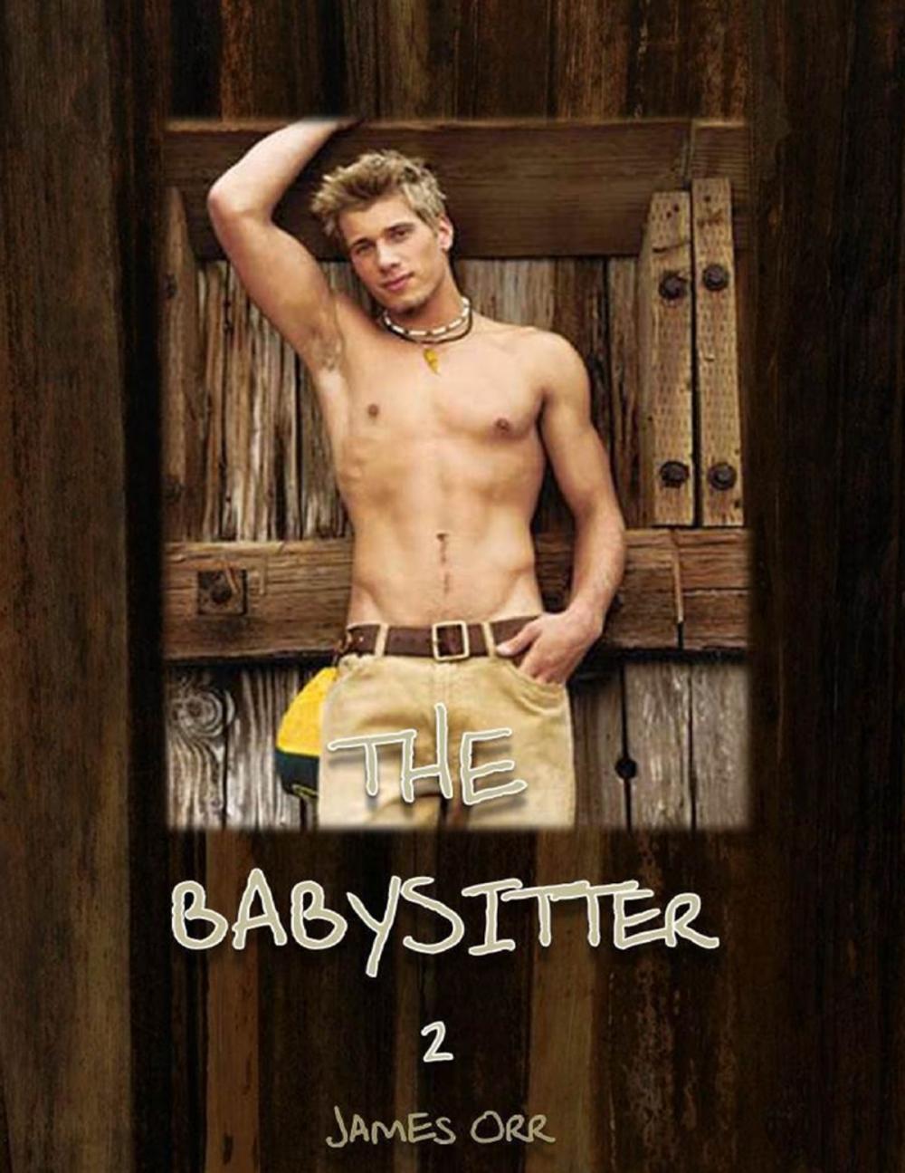 Big bigCover of The Babysitter 2