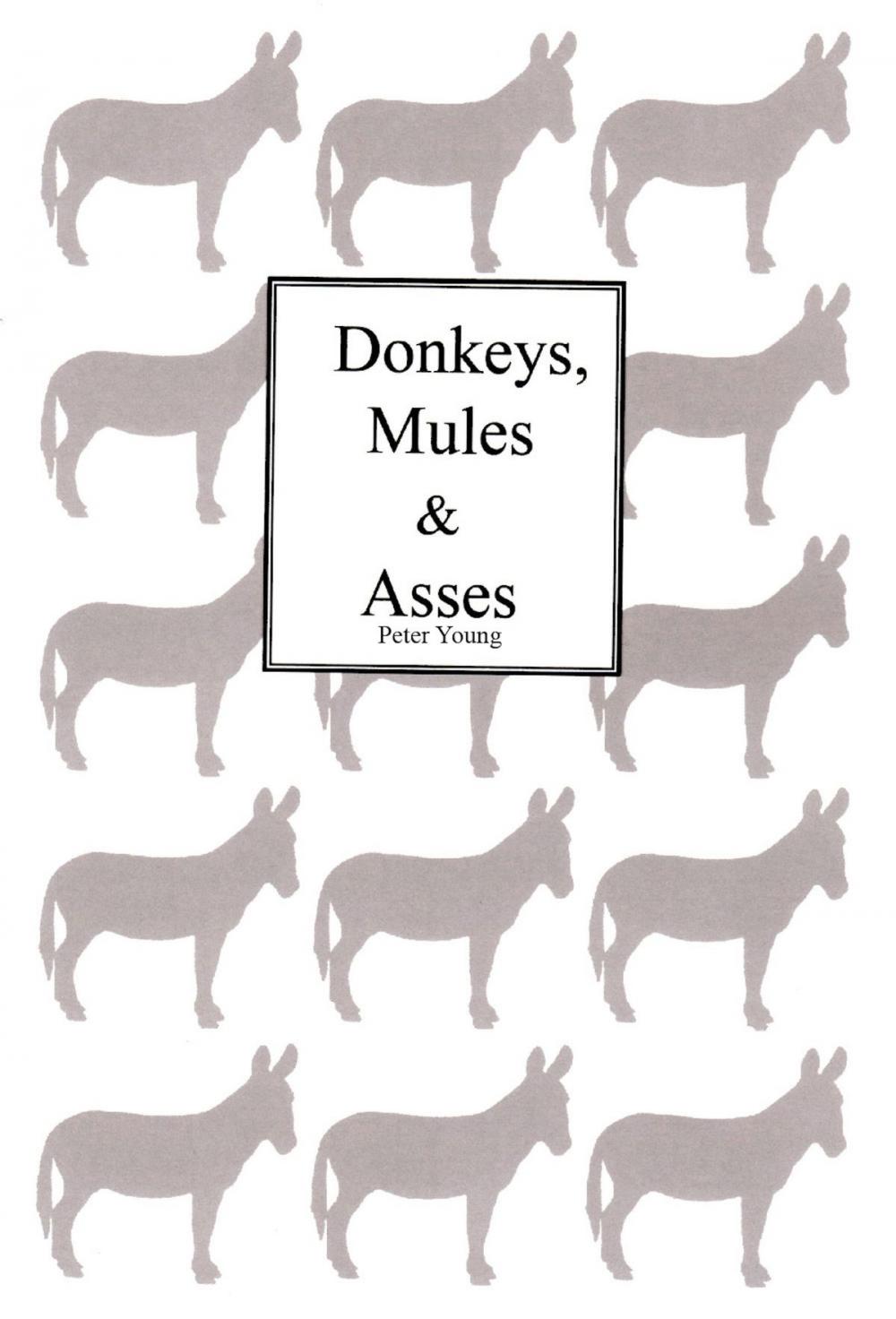 Big bigCover of Donkeys Mules & Asses