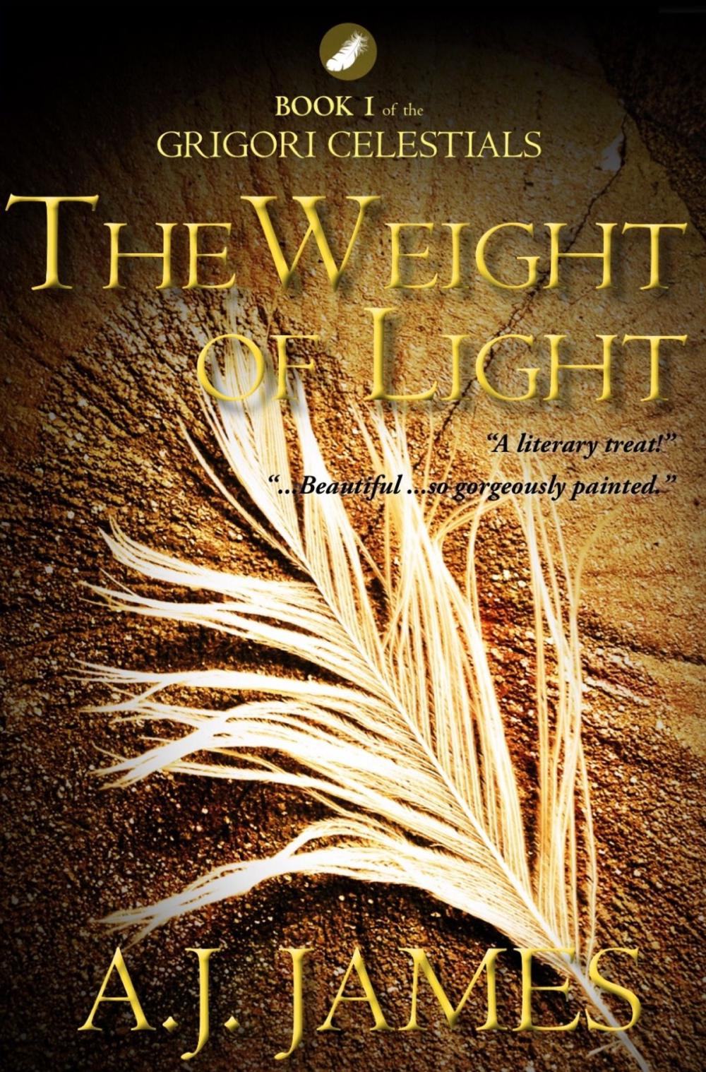 Big bigCover of THE WEIGHT OF LIGHT