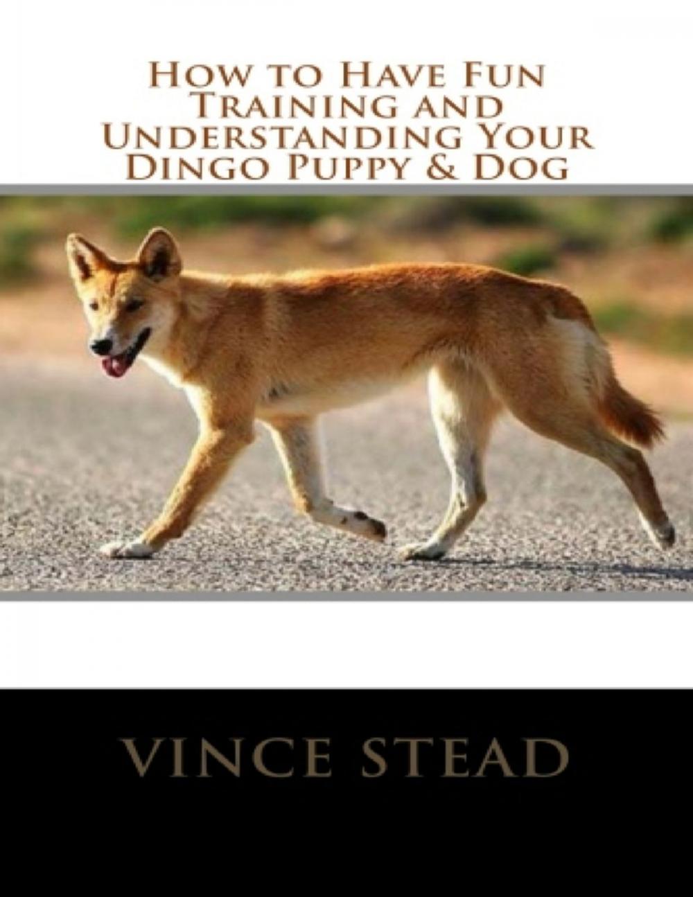 Big bigCover of How to Have Fun Training and Understanding Your Dingo Puppy & Dog