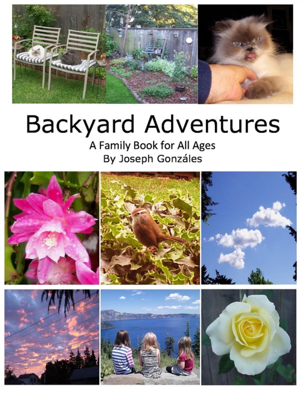 Big bigCover of Backyard Adventures - A Family Book for All Ages