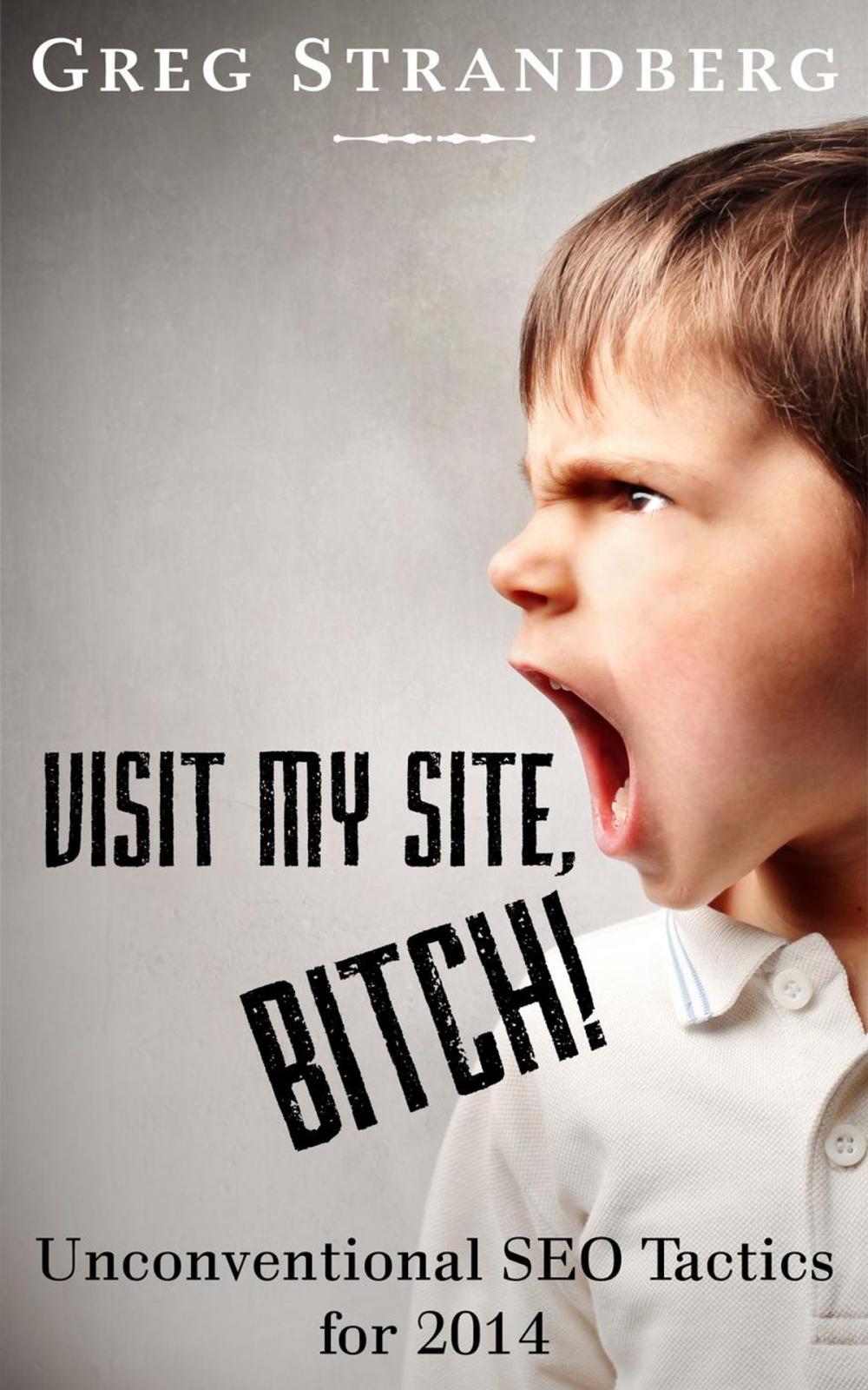 Big bigCover of Visit My Site, Bitch! Unconventional SEO Tactics for 2014