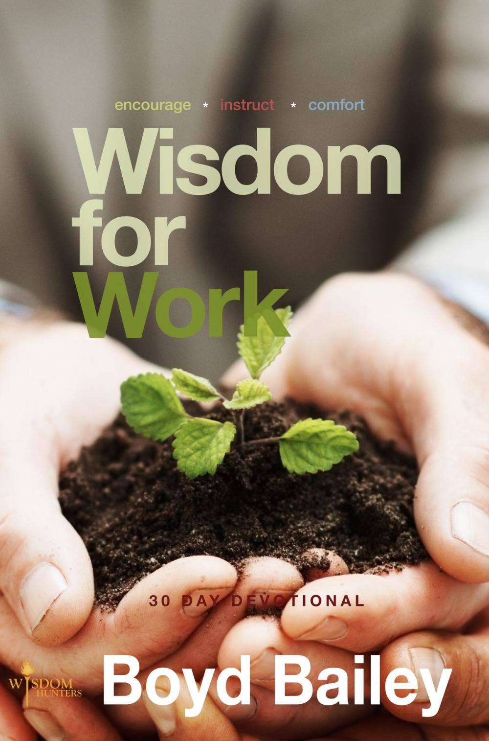 Big bigCover of Wisdom for Work