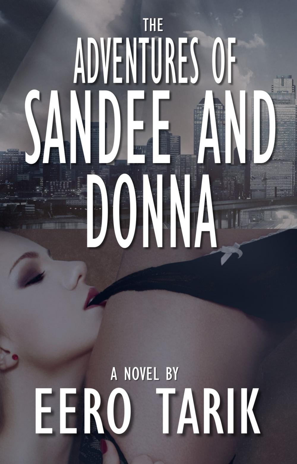 Big bigCover of The Adventures of Sandee and Donna