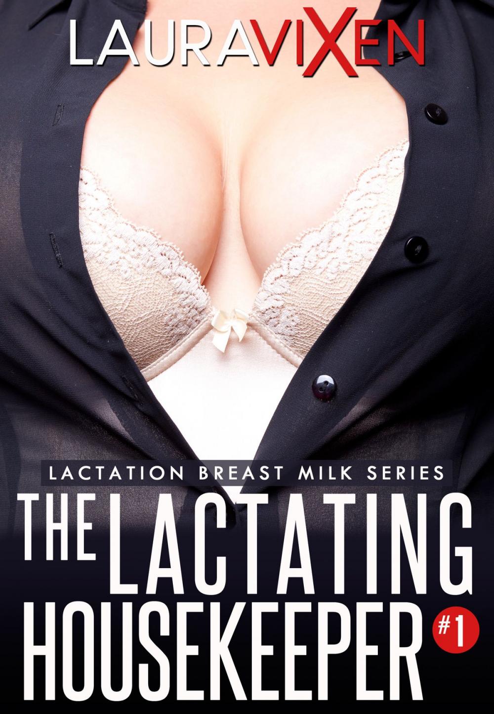 Big bigCover of The Lactating Housekeeper: Lactation Breast Milk series #1