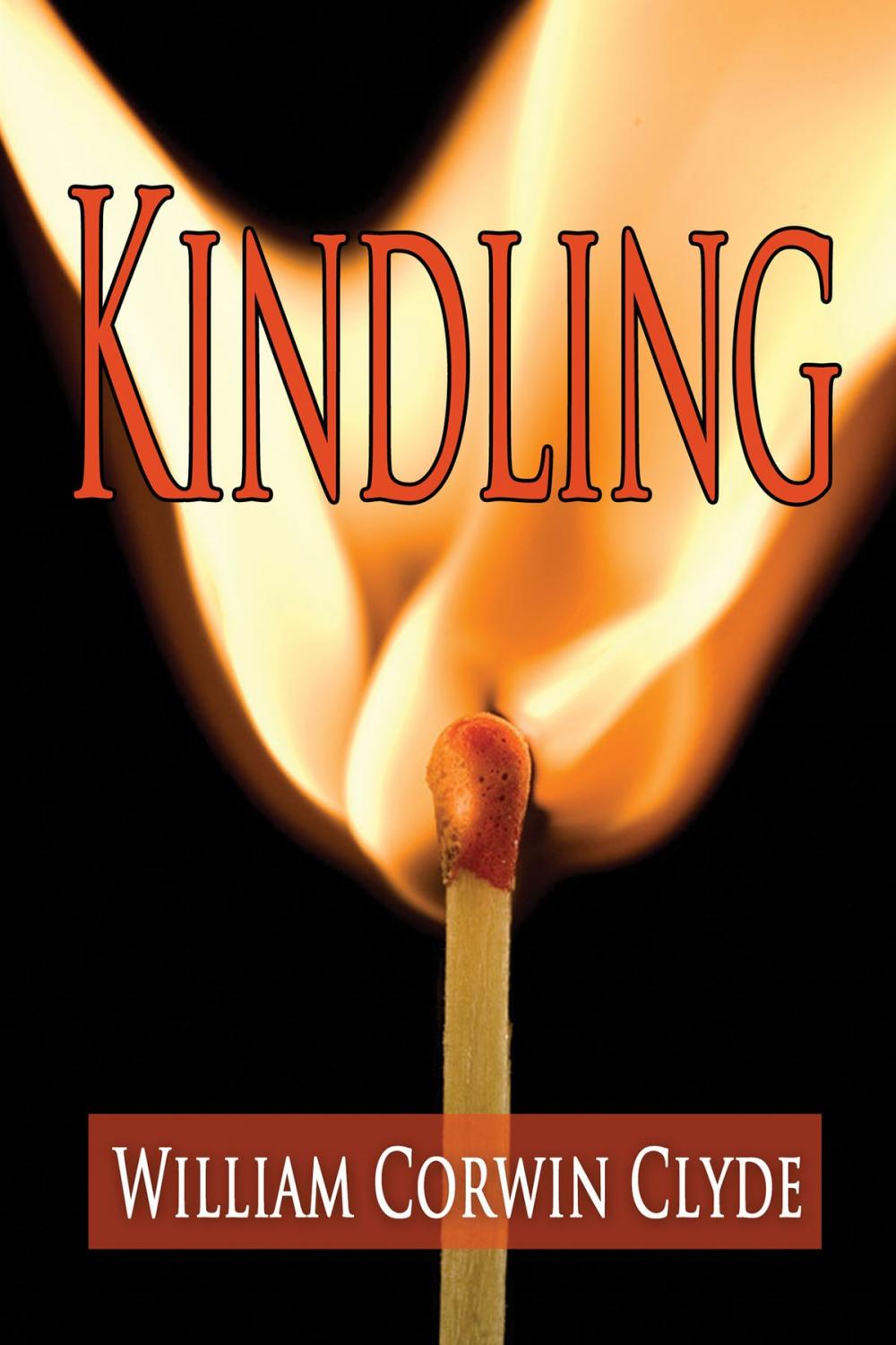 Big bigCover of Kindling: Igniting a Life of Insight and Purpose