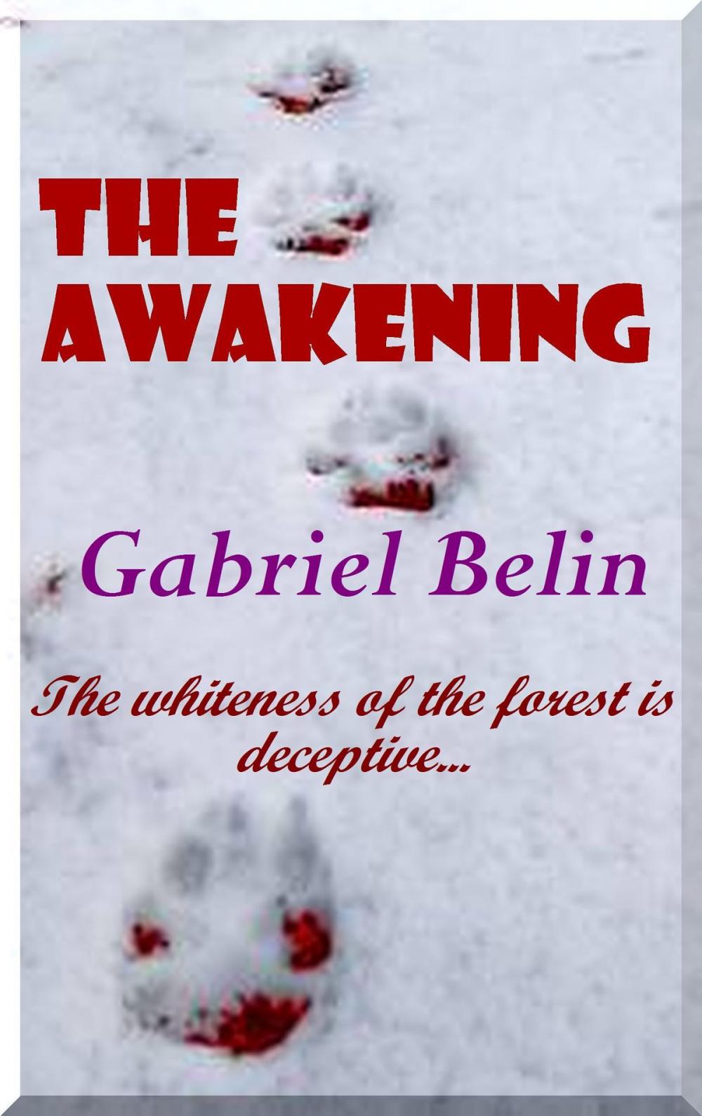 Big bigCover of The Awakening