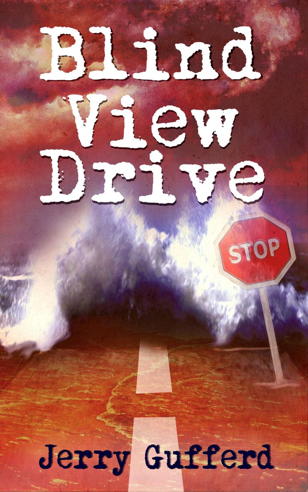 Big bigCover of Blind View Drive