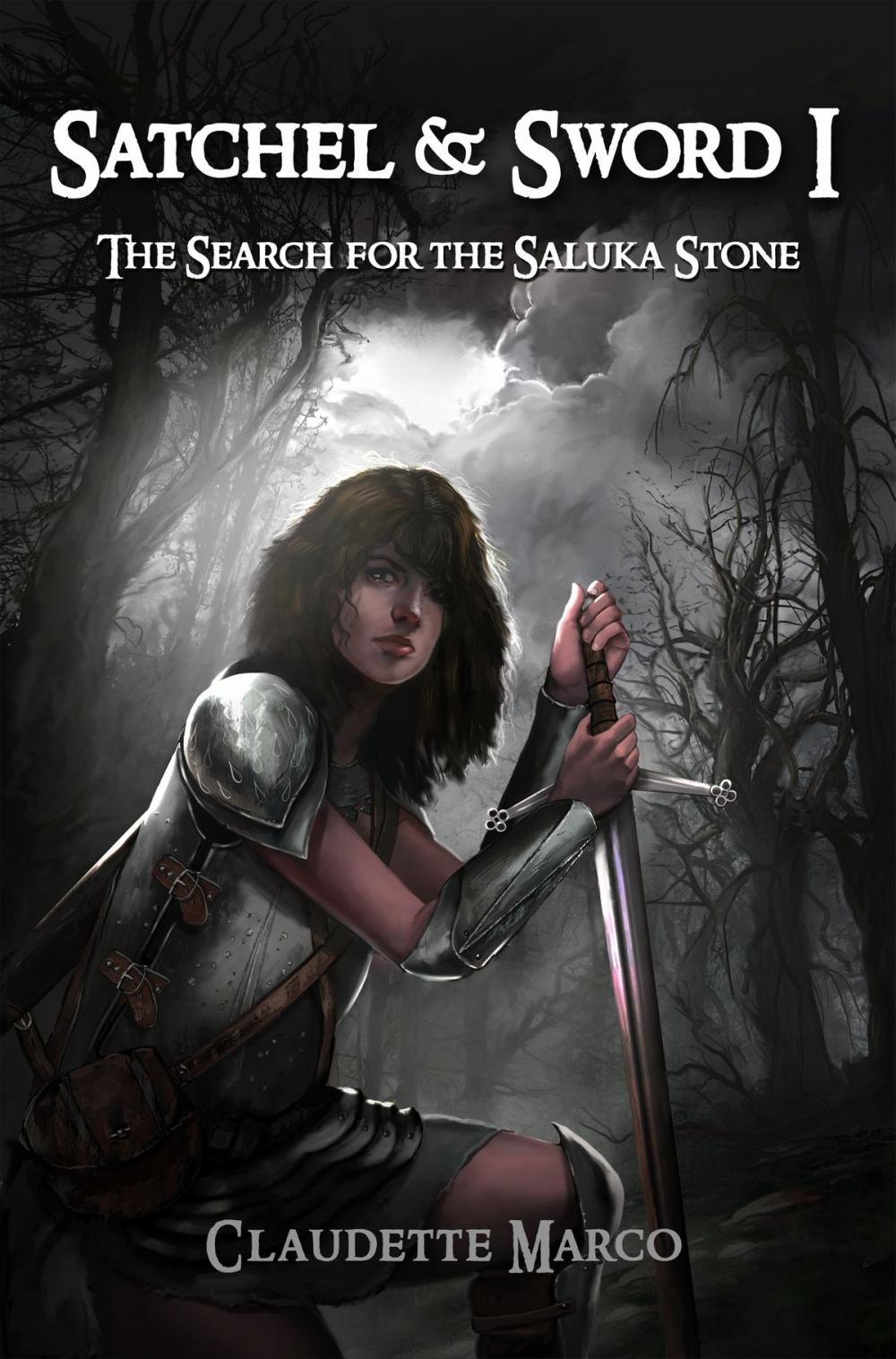 Big bigCover of Satchel & Sword I: The Search for the Saluka Stone