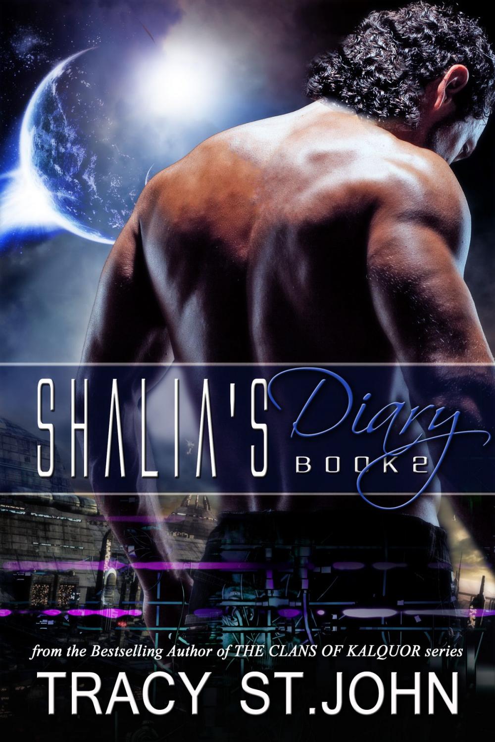 Big bigCover of Shalia's Diary Book 2