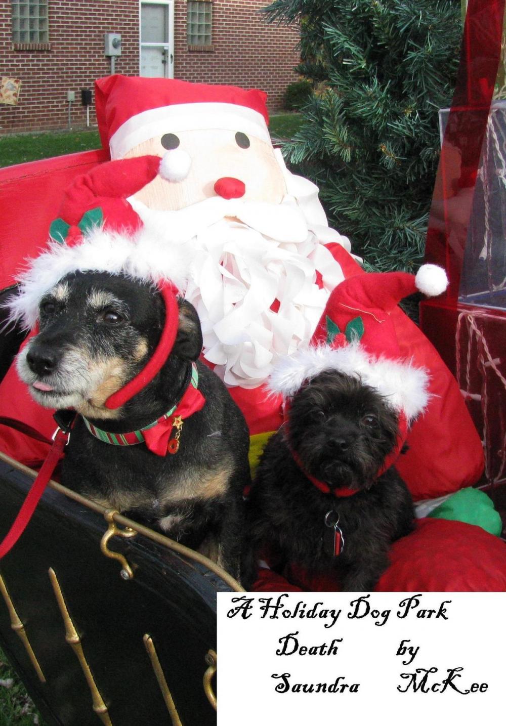 Big bigCover of A Holiday Dog Park Death