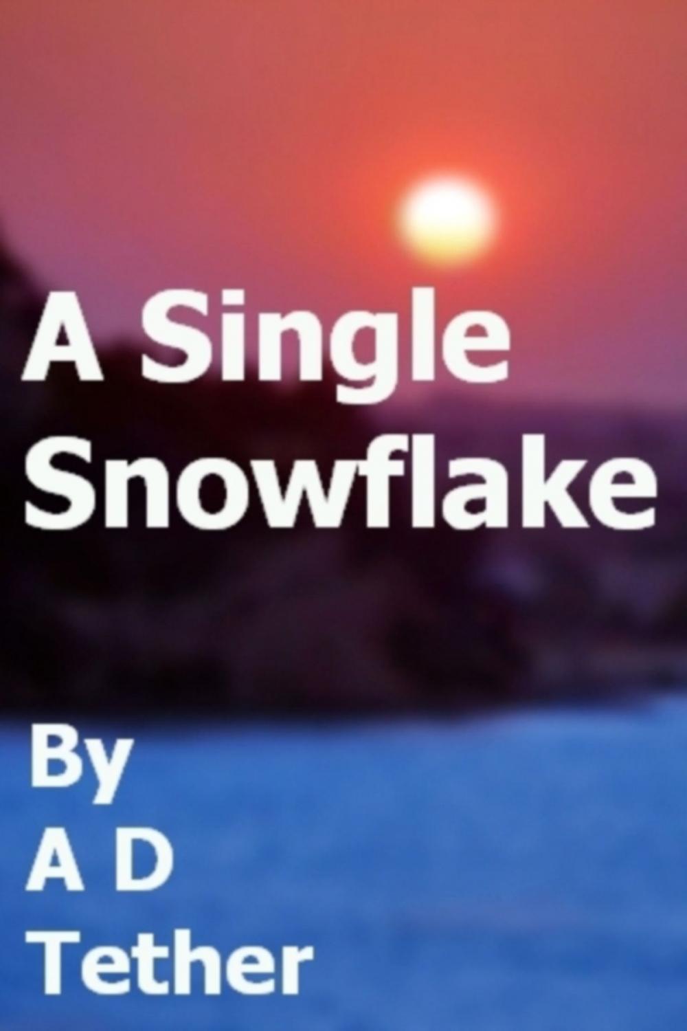 Big bigCover of A Single Snowflake