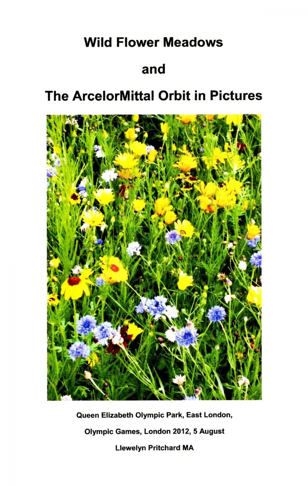 Big bigCover of Wild Flower Meadows and The ArcelorMittal Orbit in Pictures [Part 2]