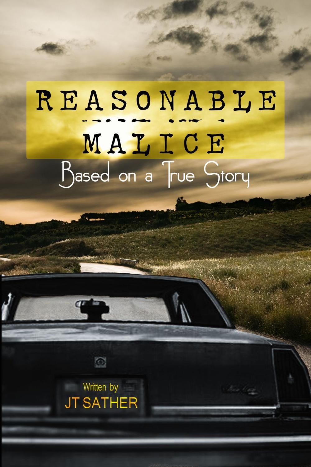 Big bigCover of Reasonable Malice