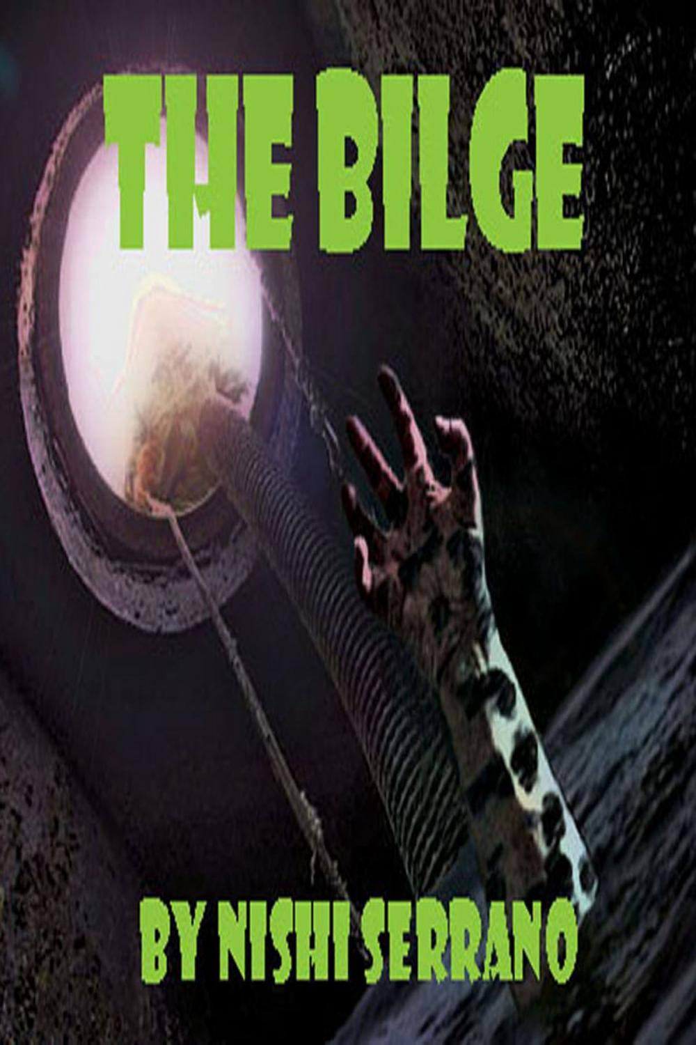 Big bigCover of The Bilge