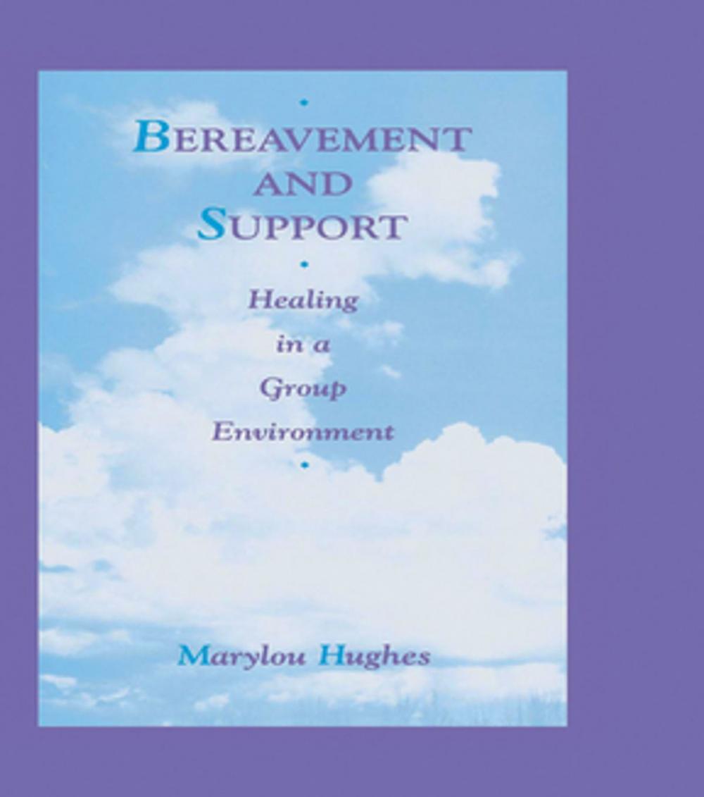 Big bigCover of Bereavement and Support