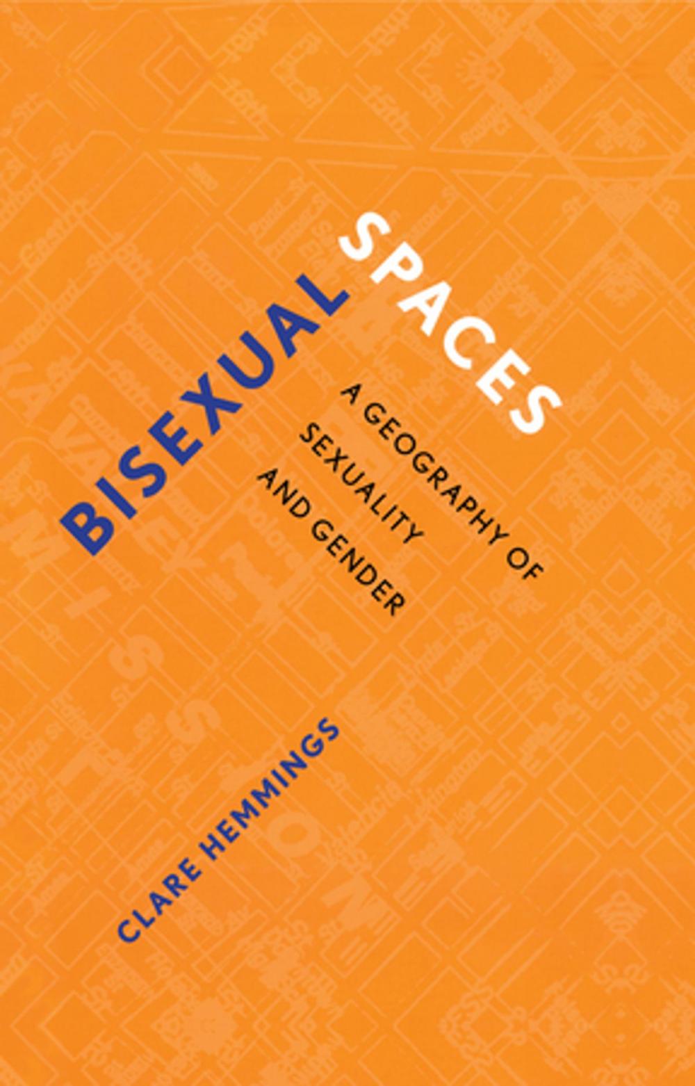 Big bigCover of Bisexual Spaces