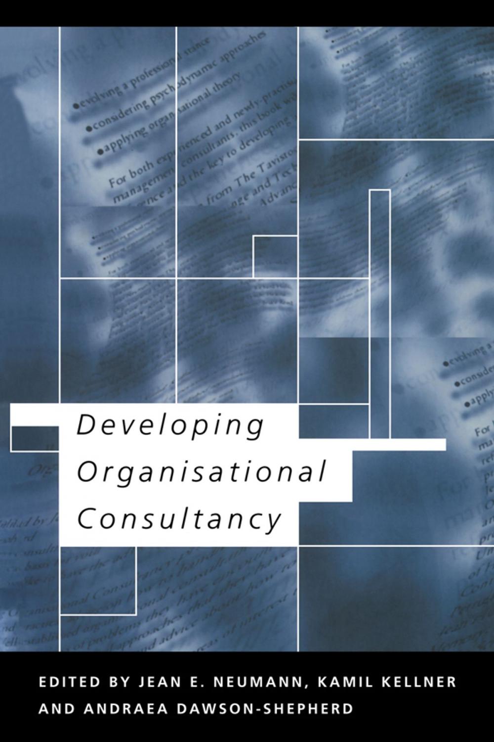 Big bigCover of Developing Organisational Consultancy