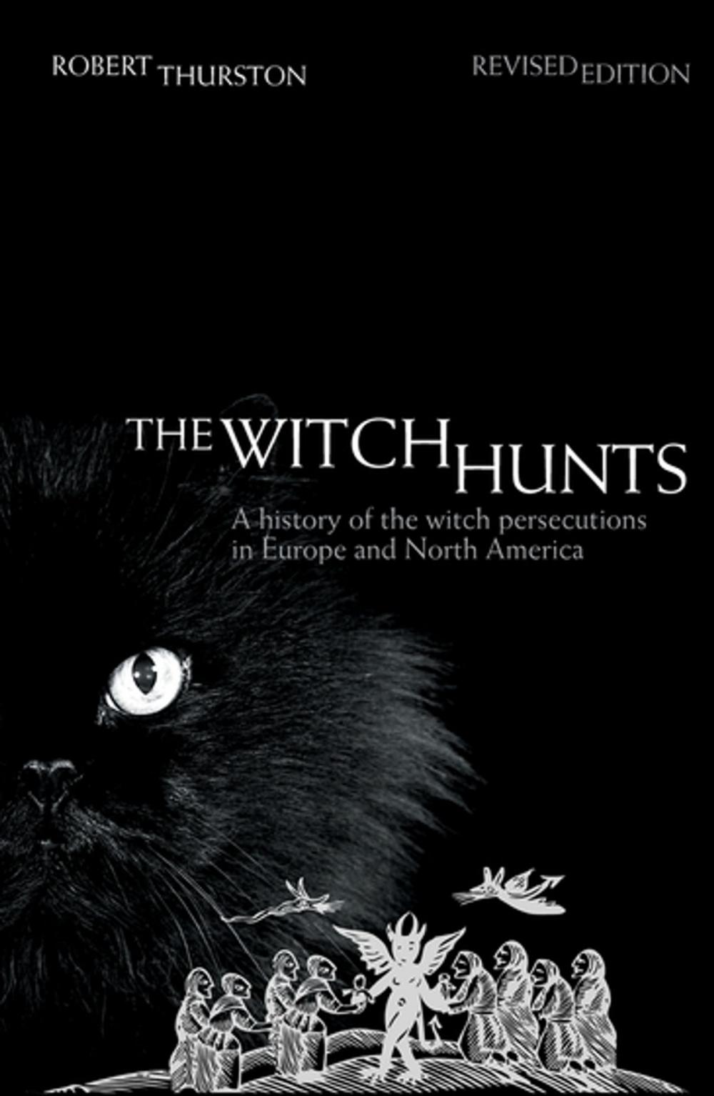 Big bigCover of The Witch Hunts