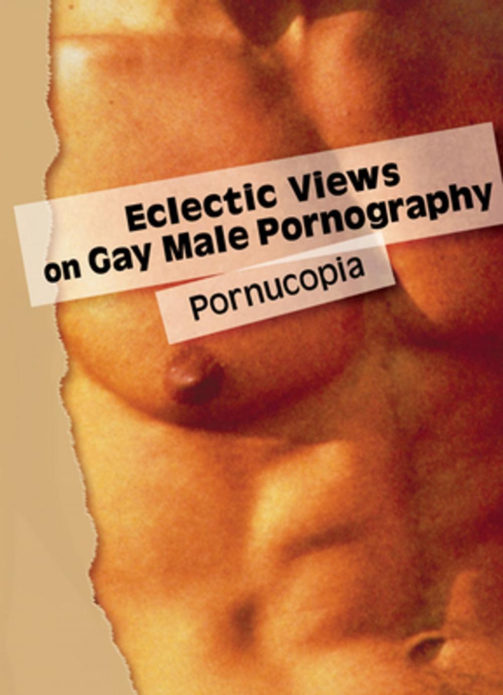 Big bigCover of Eclectic Views on Gay Male Pornography