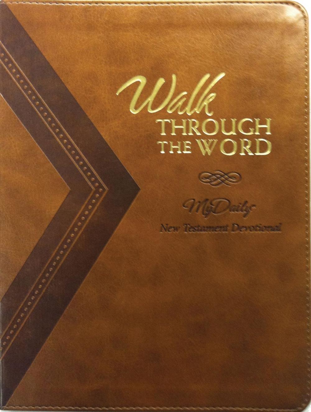 Big bigCover of Walk Through the Word