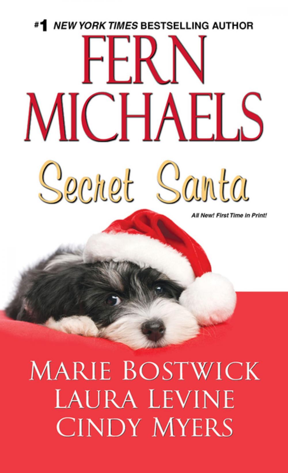 Big bigCover of Secret Santa