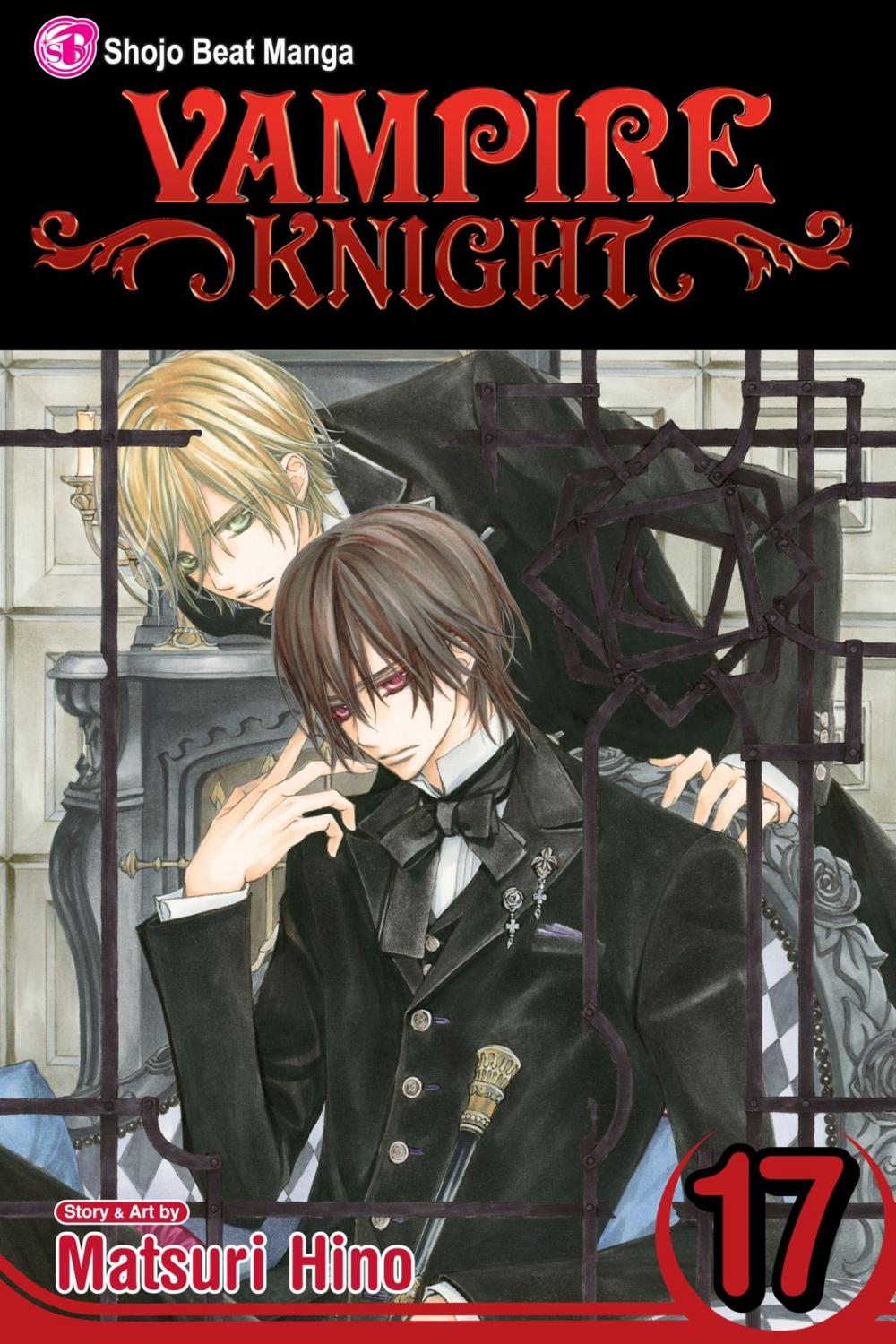 Big bigCover of Vampire Knight, Vol. 17