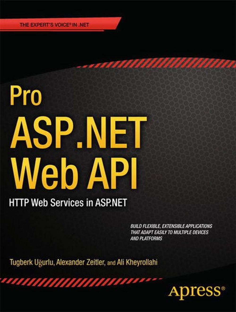 Big bigCover of Pro ASP.NET Web API