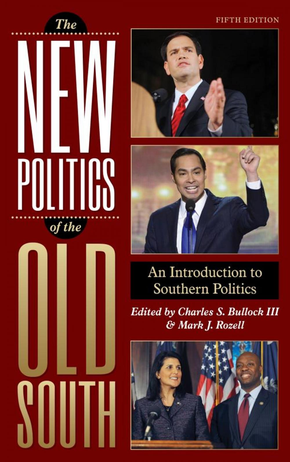 Big bigCover of The New Politics of the Old South