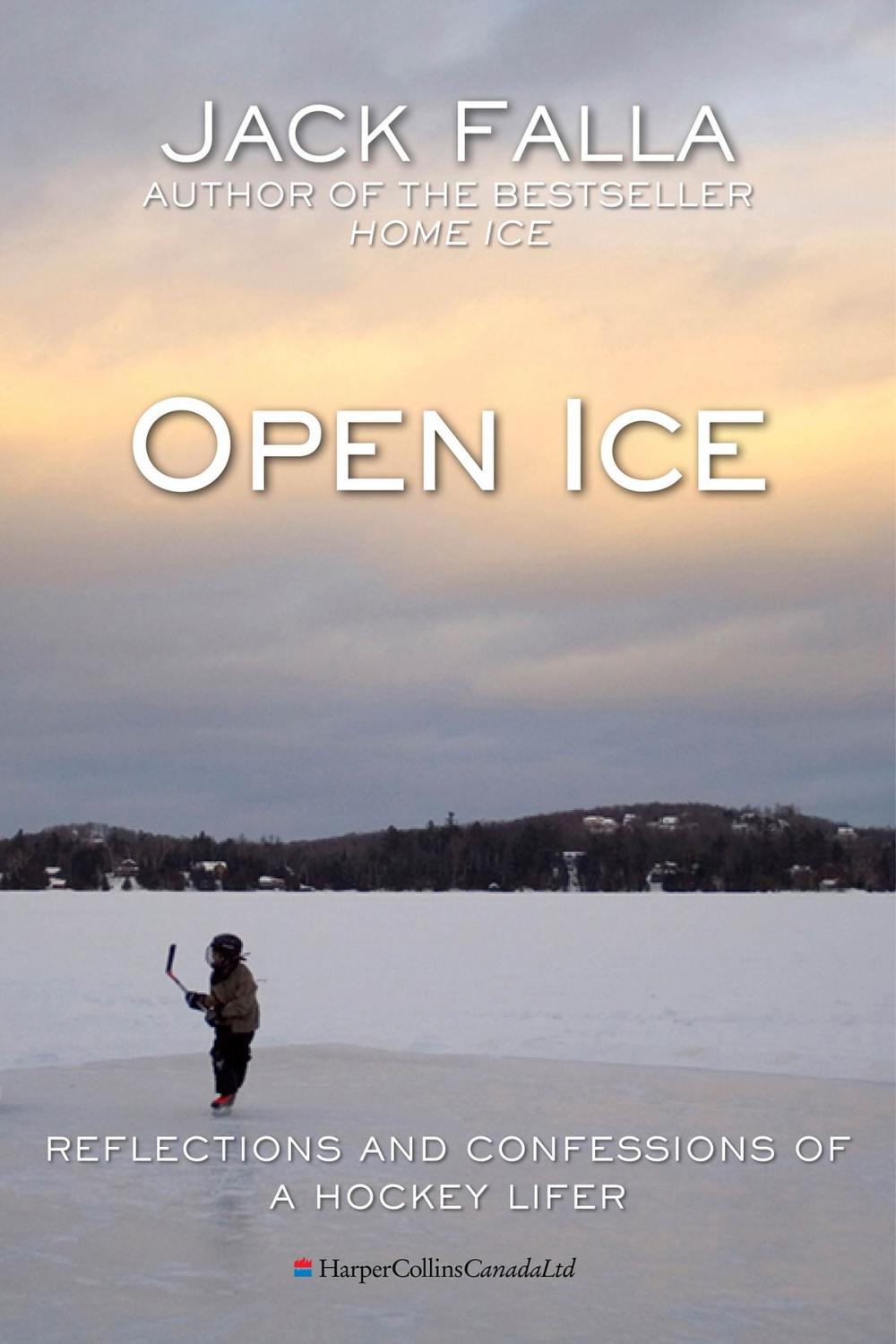 Big bigCover of Open Ice