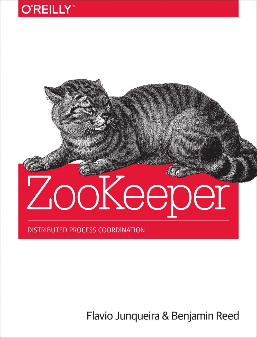 Big bigCover of ZooKeeper