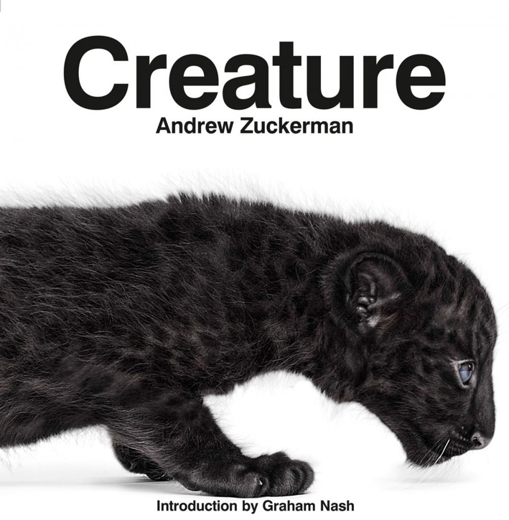 Big bigCover of Creature