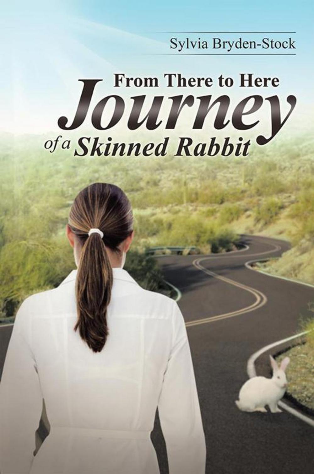 Big bigCover of From There to Here—Journey of a Skinned Rabbit