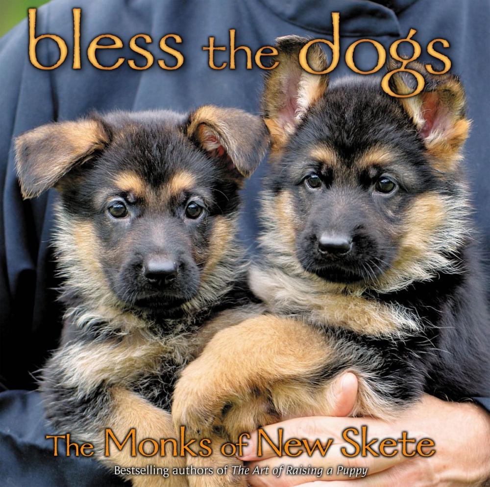 Big bigCover of Bless the Dogs
